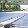 Avrupa'nın göbeğinde skandal