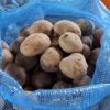 Patatesin kilosu 4 lira oldu Patatesin kilosu 4 lira oldu