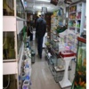 Pet Shop Denetimleri