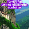Türkiye'nin cennet köşelerinde sonbahar