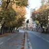 Hafta içi, hafta sonu sokağa çıkma yasağı saatleri değişti mi, kalktı mı? Yasaklar hangi illerde kalktı?