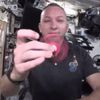 Uzayda stres çarkıyla oynayan astronot
