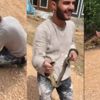 Yolda bulduğu yılanla oyuncak gibi oynadı Yolda bulduğu yılanla oyuncak gibi oynadı
