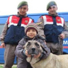 Çalınan kangalı jandarma buldu Çalınan kangalı jandarma buldu
