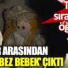 Yeni taşındığı evin duvarından 'katil bez bebek' çıktı Yeni taşındığı evin duvarından 'katil bez bebek' çıktı
