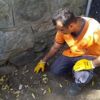 Mezarlık duvarının dibinde cenin bulundu