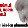 Hentbol: Erkekler Süper Lig Hentbol: Erkekler Süper Lig