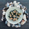 GASTRONOMİ ÜSSÜ; ROBIN’S KITCHEN GASTRONOMİ ÜSSÜ; ROBIN’S KITCHEN