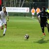 Altay bir siyah bir beyaz Altay bir siyah bir beyaz
