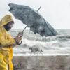 Meteoroloji bölge bölge uyardı: Yağış geliyor Meteoroloji bölge bölge uyardı: Yağış geliyor