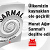 Maymun, çocuk kaçırmaya çalıştı