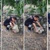 Vicdansızlar! Yavru köpek, ağzı bağlı çuvalla yol kenarında bulundu