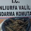 Aracın bagajında esrar avı Aracın bagajında esrar avı
