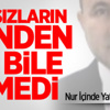 Helal Olsun Sana! Helal Olsun Sana!
