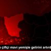 Giresunlu çiftçi mavi yemişle gelirini artırdı