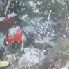 İşte Beykoz'da 2 kişiye mezar olan ağacın devrilme anı İşte Beykoz'da 2 kişiye mezar olan ağacın devrilme anı