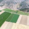 Kenevir ekim alanları uydudan tespit edilecek