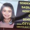 Ceylin Atik davasında karar