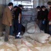 Saman altından esrar götürmediler