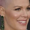 ABD'li şarkıcı Pink'in özel jeti yandı