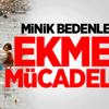 Milli Takımımız, İsveç İle Karşılaşacak Milli Takımımız, İsveç İle Karşılaşacak