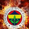 Son dakika | Fenerbahçe Beko'dan flaş corona virüs açıklaması: 4 kişi pozitif çıktı