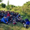 168 kaçak ormanda yakalandı 168 kaçak ormanda yakalandı