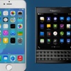 BlackBerry tweet'ini iPhone'dan paylaştı BlackBerry tweet'ini iPhone'dan paylaştı