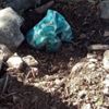 Bebek gömüldüğünden şüphelenilen mezardan köpek cesedi çıktı