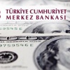 Dolara karşı yeni hamle