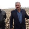 Pancar üreticisi kota mağduru oldu Pancar üreticisi kota mağduru oldu