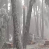 Türkiye’nin batısında kutup görüntüleri