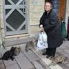 Mahalledeki onlarca kediyi besliyor Mahalledeki onlarca kediyi besliyor