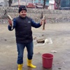 Balık yüzü göremeyen derede balık ölümler hayrete düşürdü Balık yüzü göremeyen derede balık ölümler hayrete düşürdü