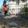 Maskeyi yere atmak, kişilik bozukluğu Maskeyi yere atmak, kişilik bozukluğu