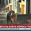 Koronavirüs günlerinde market siparişlerine "Eros" koşuyor Koronavirüs günlerinde market siparişlerine "Eros" koşuyor