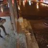Hırsızlık şüphelisi polise yakalanacağını anlayınca intihar etti Hırsızlık şüphelisi polise yakalanacağını anlayınca intihar etti