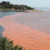 Marmara Denizi kızıla boyandı