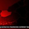 Sokak hayvanlarının beslenme üniteleri temizlendi Sokak hayvanlarının beslenme üniteleri temizlendi