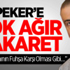 Ekşisözlük’te Sedat Peker’e Hakaret