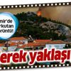 İzmir'de korkutan görüntü! Alevler mahalleye yaklaşıyor