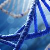 Kendi kendine oluşabilen DNA zincirleri geliştirildi