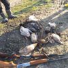 Kuş cennetinde kaçak ördek avlayan coğrafya öğretmeni ...