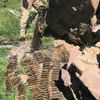 Hakkari’de doçka silahı ele geçirildi! Valilik fotoğrafları paylaştı Hakkari’de doçka silahı ele geçirildi! Valilik fotoğrafları paylaştı