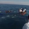 Çanakkale açıklarından 40 düzensiz göçmen, Yunanistan unsurlarınca ölüme terk edildi Çanakkale açıklarından 40 düzensiz göçmen, Yunanistan unsurlarınca ölüme terk edildi