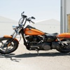 "Benim Efsane Harley'im''
