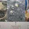 Güvenlik güçlerine saldırı amacıyla menfezlerde keşif yapmış