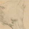 Da Vinci’nin çizimine rekor fiyat Da Vinci’nin çizimine rekor fiyat