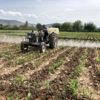 Adanalı çiftçiler üretim için sahada