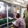 Ebola’nın tedavisi bulundu
